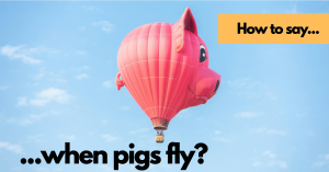 when-pigs-fly-thumbnail