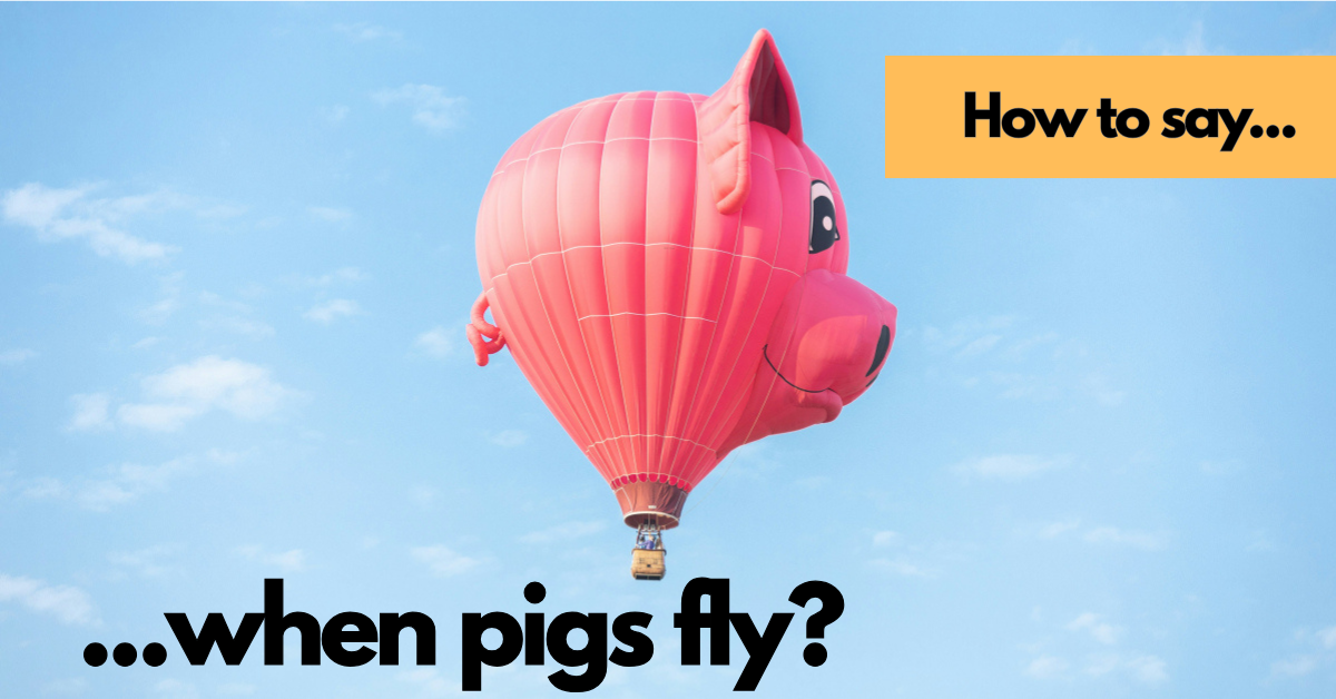 when-pigs-fly