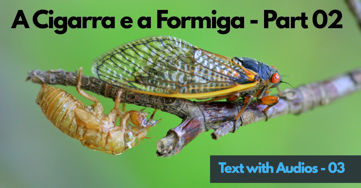 A Cigarra e a Formiga - Part 02