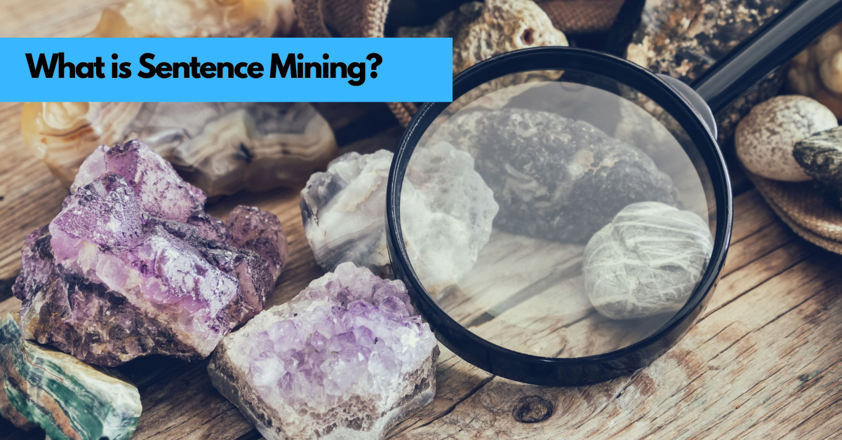 What is Sentence Mining?