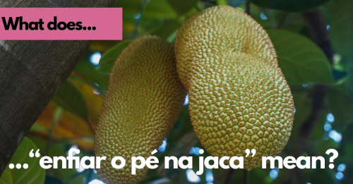 What Does "Enfiar o Pé na Jaca" Mean in Portuguese?